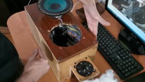 Что находится внутри  моих колонок ? Антирупор для моих колонок.