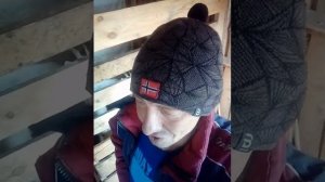Можно ли содержать коз и свиней вместе?