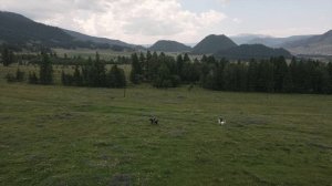 Бай Терек - Перемен. Алтайское горловое пение