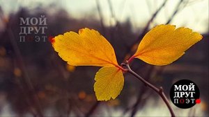 Ф.И. Тютчев - Я встретил Вас... | Стихи Тютчева  |  Поэзия