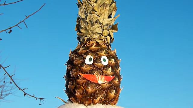 С ДНЁМ РОЖДЕНЬЯ СЕНЯ ОТ Ананасыча смотреть онлайн