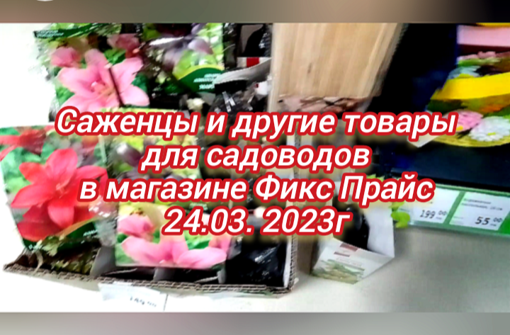Саженцы и другие товары для садоводов в магазине Фикс Прайс 24.03.2023г