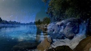 Любимые песни. Вьюн над водой