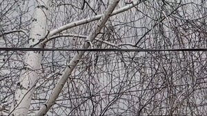 Поездка в станицу Ленинградская, первое счастье.#переезднаюг#станица#краснодарскийкрай#кубань#море
