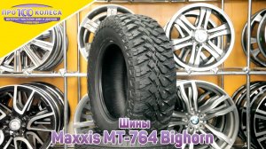 Обзор летних шин Maxxis MT 764 Bighorn