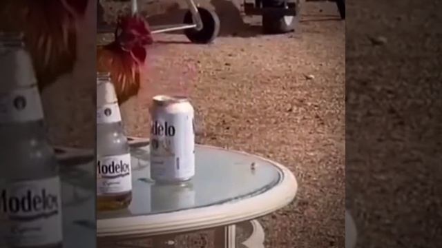 СМОТРИ И СМЕЙСЯ смотреть онлайн