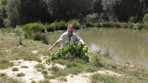 La Vigne de A à Z (presque)