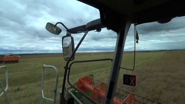 А теперь работаю на комбайне Claas Lexion 670 убираем рапс