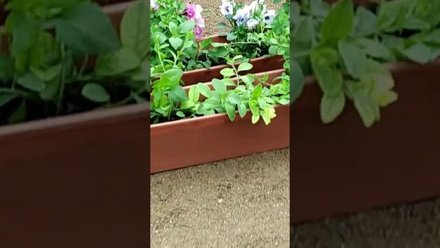 Плитка, на пол и лестница, Шершавый плиткой!!! смотреть онлайн