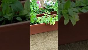 Плитка, на пол и лестница, Шершавый плиткой!!!