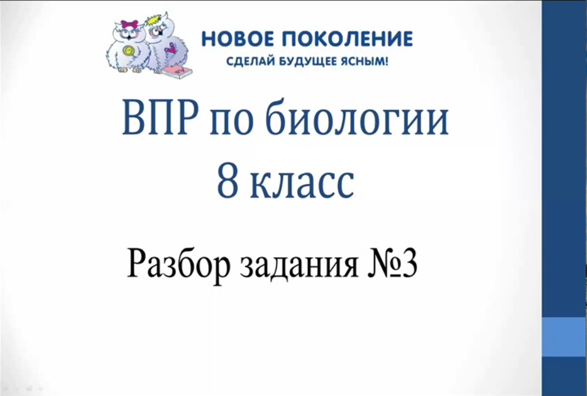 Биология. Разбор 3-го задания ВПР по биологии 8 класс