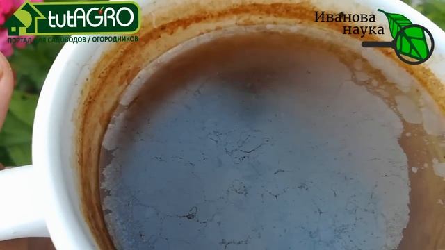 Чайная пленка на стенках желудка, жёсткая вода и грязные чашки, опасное двойное кипячение воды. смотреть онлайн