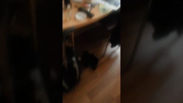 Eiffel Gustav Tower Exhibition2014&Louvre смотреть онлайн