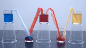 Явление капиллярности. Окрашивание воды через капилляры салфетки.