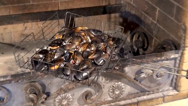 Мидии в створках на мангале. Кухня. смотреть онлайн