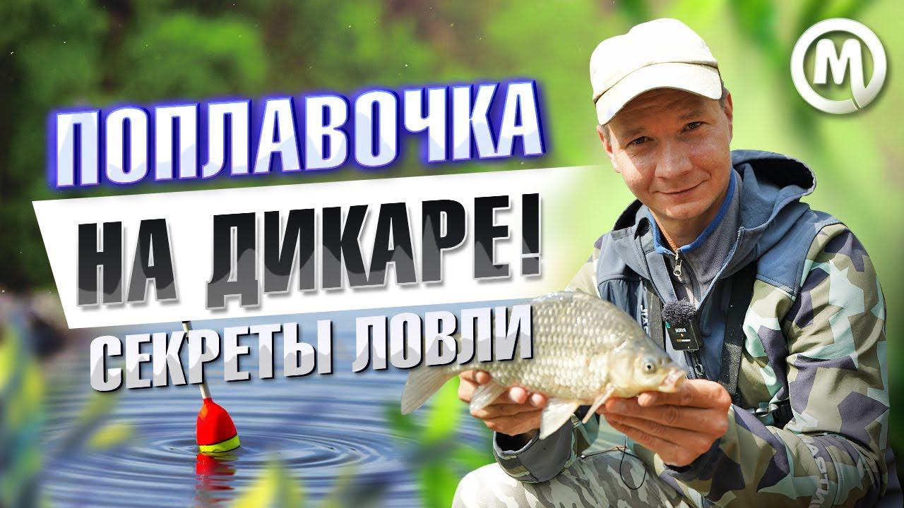 На поплавочку осенью! Секреты ловли на ДИКАРЕ! ИТОГИ КОНКУРСА! смотреть онлайн