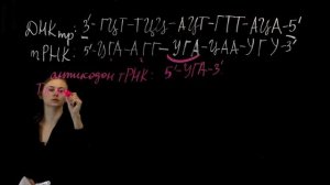 Задание 27. Вариант №4. Генетический код. Решаем задачи ЕГЭ Биология 2020.