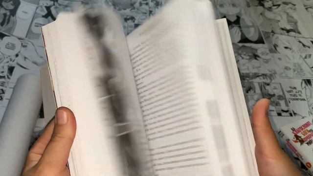 Обзор ранобэ / Да благословят боги этот прекрасный мир / коносуба