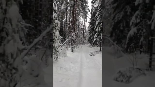 Снежная сказка смотреть онлайн