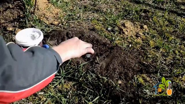 Надежный способ отпугнуть крота с участка смотреть онлайн