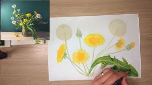 Как нарисовать одуванчики акварелью