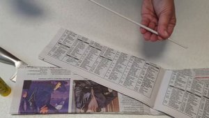 Что можно сделать из газет. Газетные трубочки.