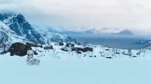 бой с тенью 3 последняя сцена