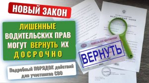 НОВЫЙ ЗАКОН: лишенные водительских прав могут вернуть их досрочно (за участие в СВО)