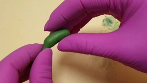 огурец из полимерной глины.ручная работа.мастер класс.полимерная глина