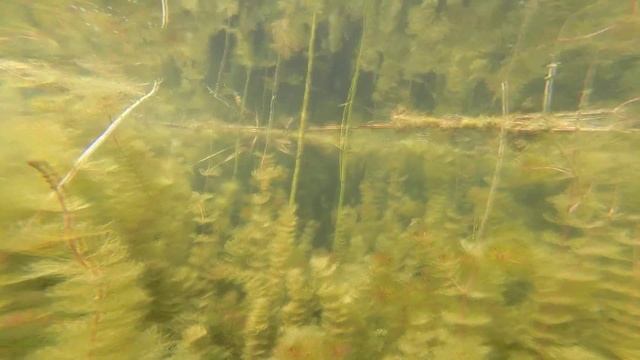 Тверь, Карьеры. смотреть онлайн