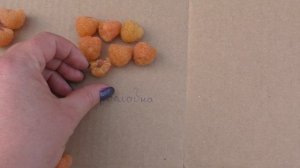 Пробуем желтоплодные сорта малины. Сравниваем по вкусу, виду.