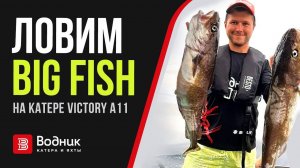 Ловчая ТОЧКА. Поймали рыбы на 300 000 р.