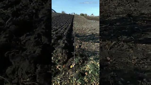 Лебёдка с плугом для вспашки огорода. ПАШЕТ САМО.