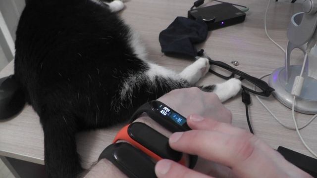Сравнение часов на Mi Band 3, 4, 5 смотреть онлайн