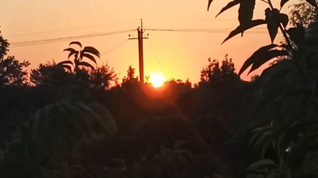 "Мы живем, как во сне неразгаданном"(стих) — Дарья Петрожицкая смотреть онлайн