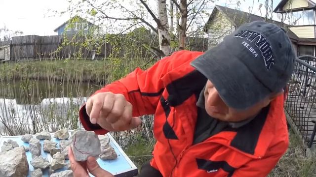 Трилобиты в породе смотреть онлайн