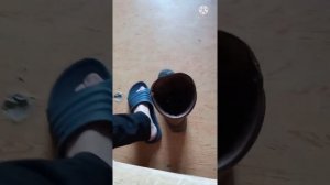 Сапоги Chiruca Dogo BOA