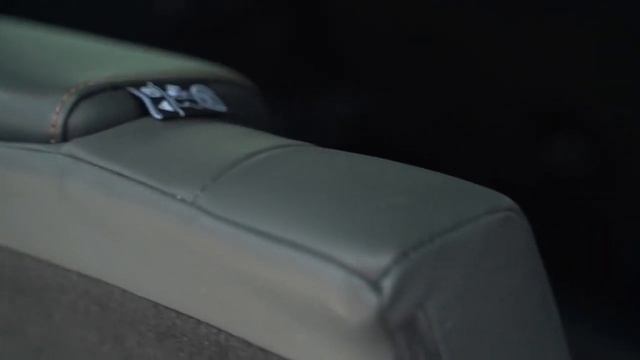 Это что за покемон? GАC GS8 смотреть онлайн