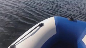 Первый выход на воду - Стелс Аэро 275 + Мерк 2,5++ ( раздушен )