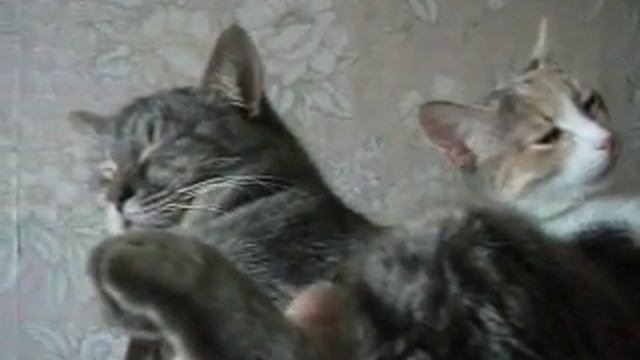 супруги после 10 лет совместной жизни