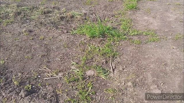 Ручной культиватор.