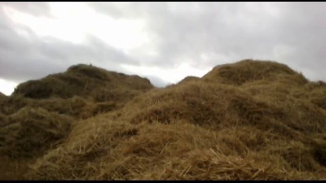 My double back flip +bonus смотреть онлайн