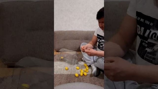 омадингни синаб кур 89634405212 номер карта сбербанк. номер ватсапт смотреть онлайн