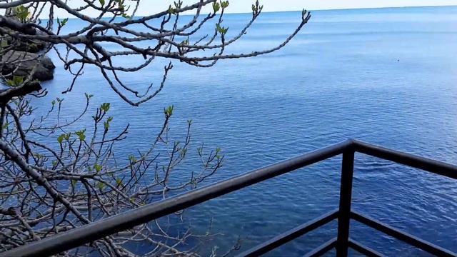 Дача А.П. Чехова в Гурзуфе_09052021_3 смотреть онлайн