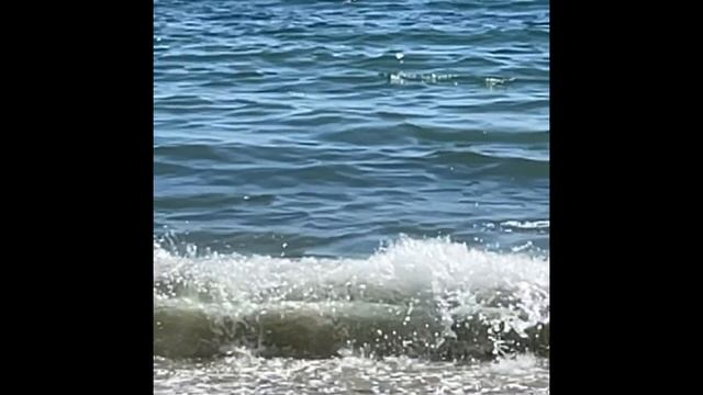 Ты, как поле в незабудках… смотреть онлайн