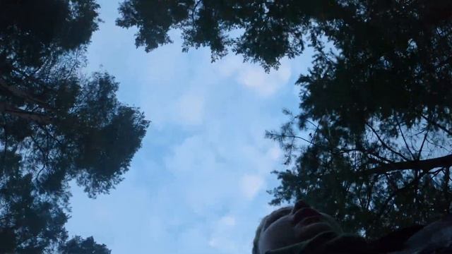ПОЕХАЛИ в агроусадьбу КОНИ-ПОНИ / Сколько животных? / Будни школьника