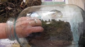 Вечный террариум своими руками