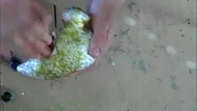 Bethany Kartchner - Eco Friendly Bird Project.flv смотреть онлайн