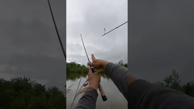 Not the okuma ? 2 broken rods in one weekend