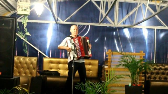 "Очи чёрные" - Николай Донецкий (аккордеон) в ресторан "Круиз". смотреть онлайн